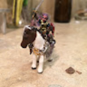 Meet your Posher, Angela